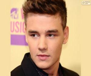 Puzzle One Direction, Liam Payne